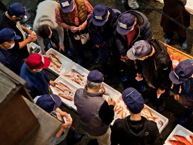 「熱海魚市場」でのセリ見学とあら汁のご賞味体験
